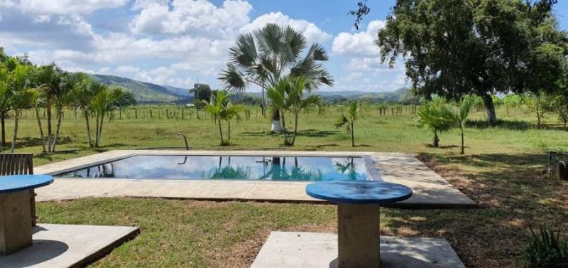 Foto Finca en Venta en @phagrovzla, 2.640 Hectáreas, 700 Reses, 3 millones $, Cojedes - 2640 hectareas - U$D 3.000.000 - FIV187599 - BienesOnLine