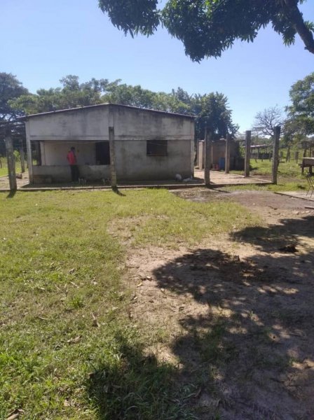 Foto Finca en Venta en 40 Hectáreas, Disponible, FINCA 40 HECTÁREAS, SECTOR LA MENDOCERA, Barinas - U$D 45.000 - FIV139542 - BienesOnLine