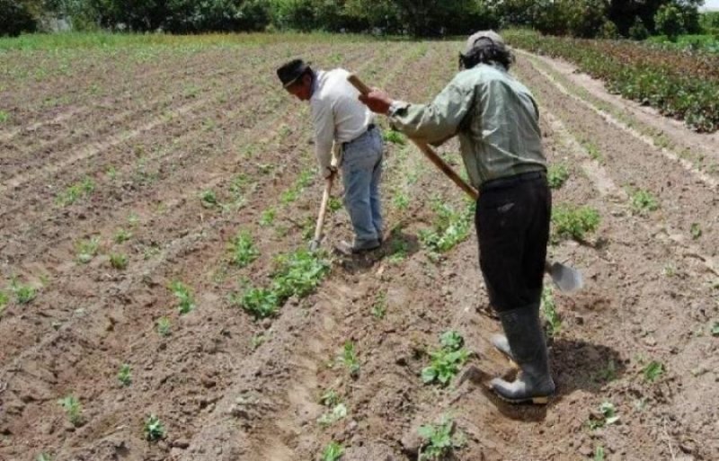 Finca en Venta en Inmobiliaria Agroindustrial Ciudad de Cojedes, Cojedes