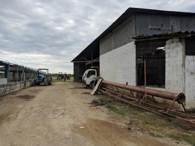 Finca en Venta en Inmobiliaria Agroindustrial Ciudad de Cojedes, Cojedes