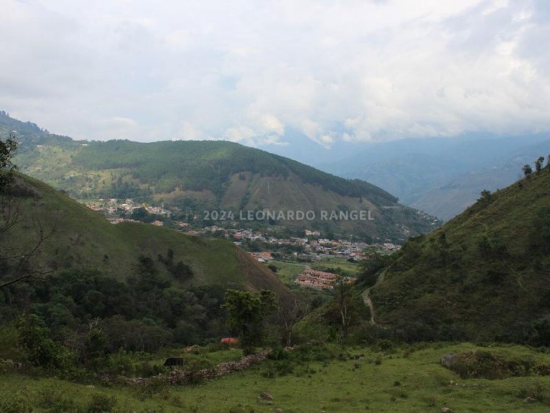 Foto Finca en Venta en Manzano Bajo, Ejido, Mérida, Venezuela, Manzano Bajo, Ejido, Mérida, Venezuela, Mérida - 2 hectareas - U$D 25.000 - FIV231406 - BienesOnLine