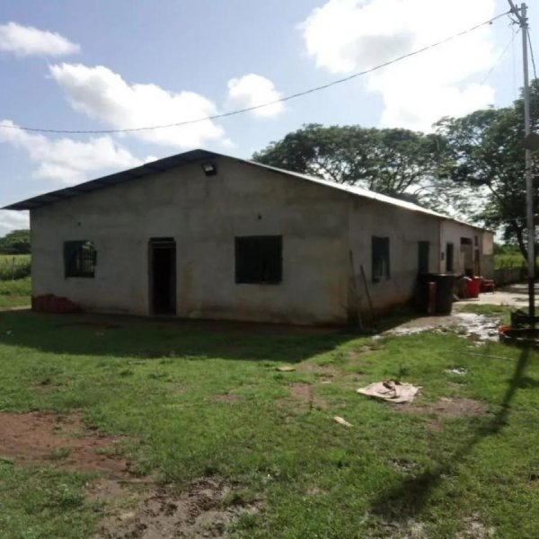 Foto Finca en Venta en Inmobiliaria Agroindustrial, El Pao, Cojedes, Cojedes - 450 hectareas - U$D 280.000 - FIV236468 - BienesOnLine