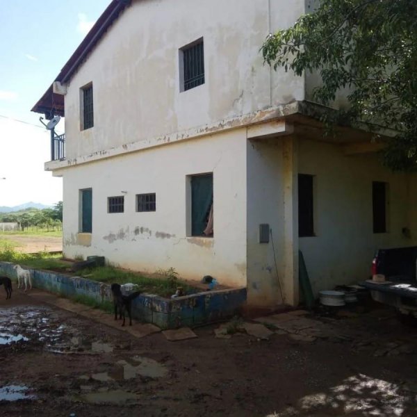 Foto Finca en Venta en Inmobiliaria Agroindustrial, El Pao, Estado Cojedes, Cojedes - 450 hectareas - U$D 280.000 - FIV236472 - BienesOnLine