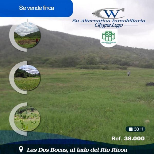 Foto Finca en Venta en Coro, Falcón - 32 hectareas - FIV168231 - BienesOnLine