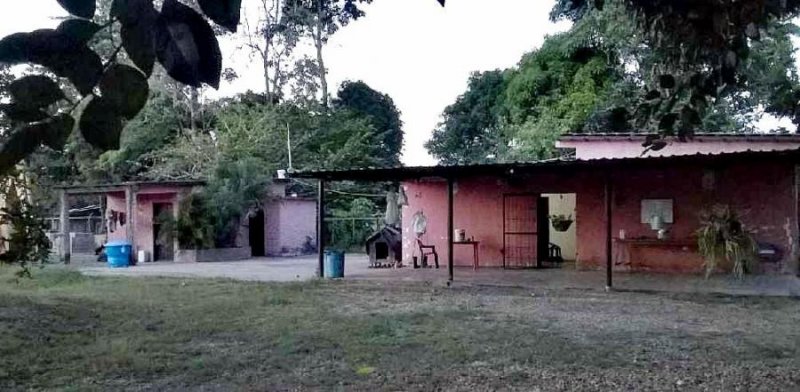 Foto Finca en Venta en Maturín, Maturín, Monagas - BsF 10.000 - FIV121177 - BienesOnLine