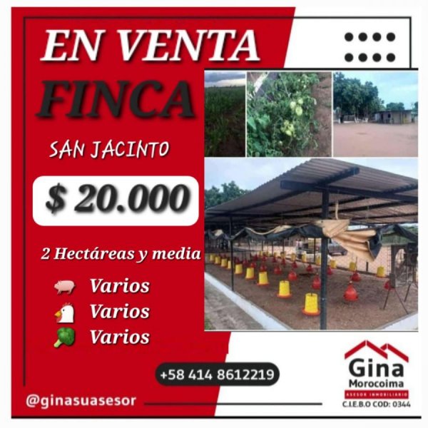 Foto Finca en Venta en Bolivar, Ciudad Guayana, Bolívar - U$D 20.000 - FIV212541 - BienesOnLine