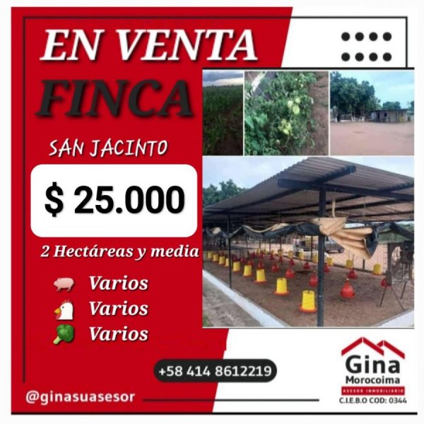 Se Vende Finca en San Jacinto