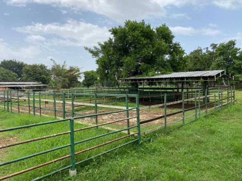 Finca en Venta en @phagrovzla Valencia, Carabobo