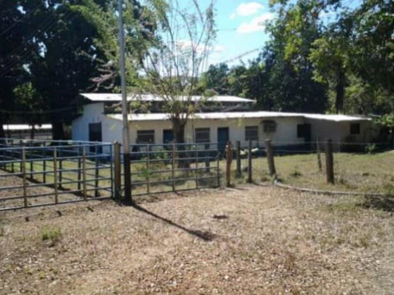 Finca en Venta en  Tinaquillo, Cojedes