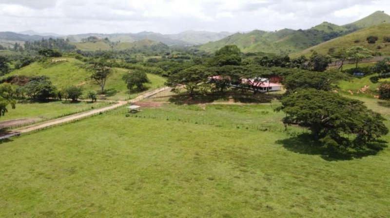 Finca en Venta en Municipio Carlos Arvelo Güigüe, Carabobo