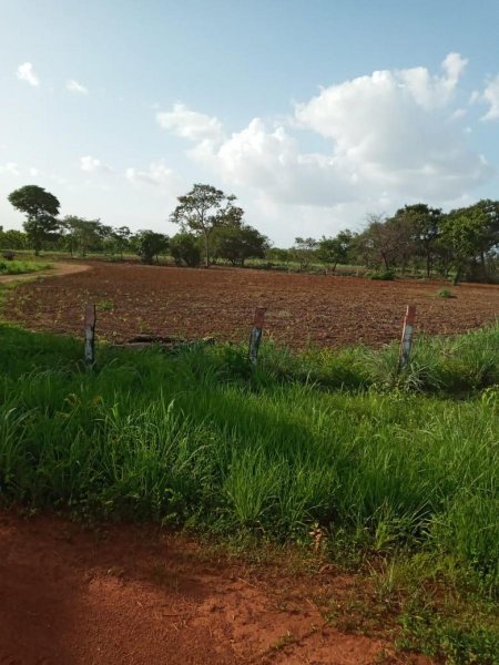 Se Vende Fundo 183 Ha, Tierras INTI, ideal para Ganado y Siembra toda cercada, MARZO 2025