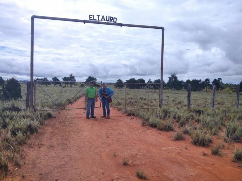 Se Vende Fundo 3.362 Ha, para Ganadería Lechera y de Ceba, Turismo, Granja Ecológica OCTUBRE 2024