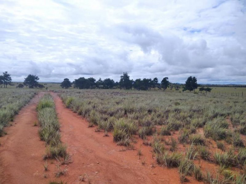 Se Vende Fundo 3.362 Hectáreas, para Ganadería Lechera y de Ceba, Turismo, Granja Ecológica 2024