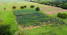 Terreno en Venta en  Maracaibo, Zulia