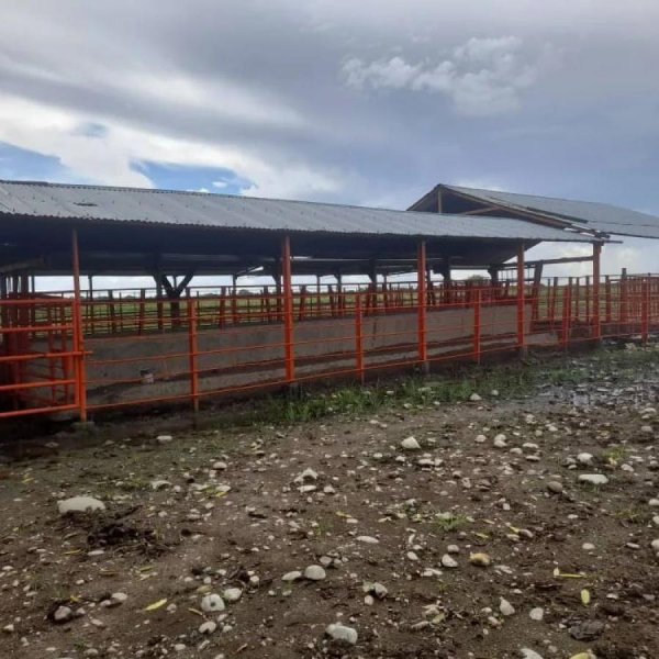 Finca en Venta en @phagrovzla Achaguas, Apure