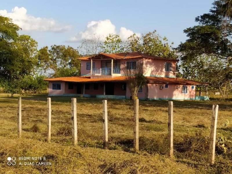 Foto Finca en Venta en @phagrovzla, Equipos para Producir Maíz, Arroz, Corte de Pasto, Portuguesa - 5600 hectareas - U$D 8.000.000 - FIV169376 - BienesOnLine