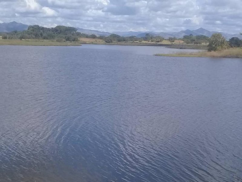 Finca en Venta en San Juan Bautista El Pao, Cojedes