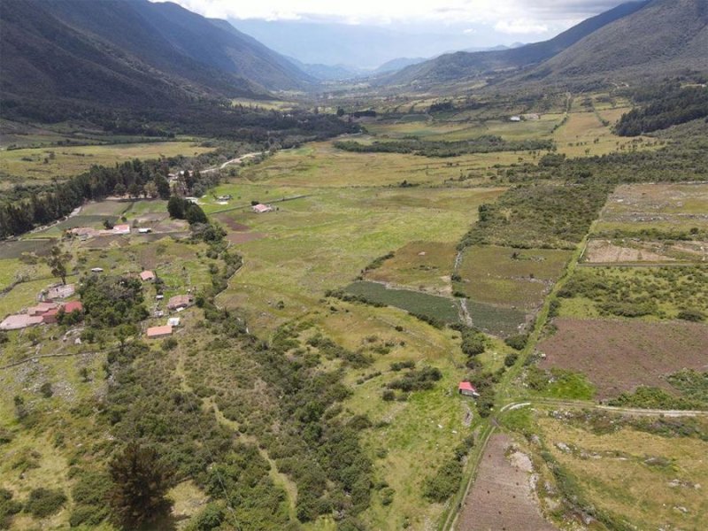 Finca en Venta en  Mérida, Mérida