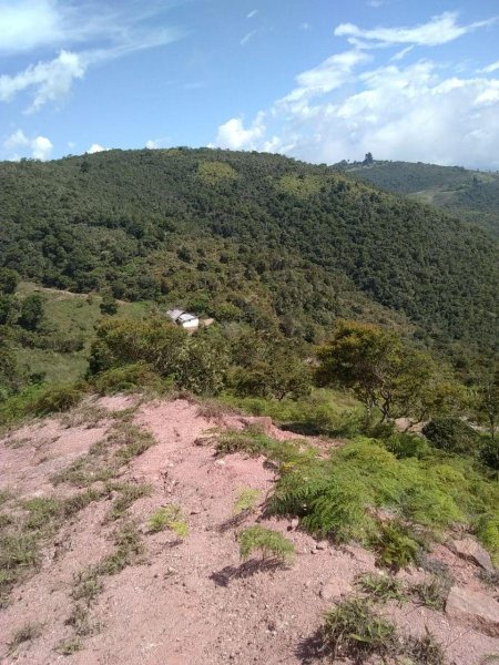 Se vende MARAVILLOSA finca situada en el Municipio Sucre, Parroquia La Trampa.