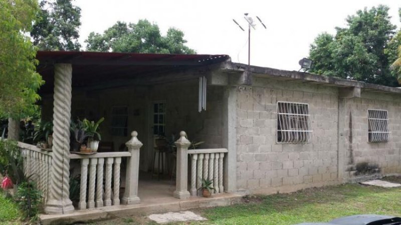 Foto Finca en Venta en Tocuyito, Tocuyito, Carabobo - BsF 35.000.000 - FIV79162 - BienesOnLine