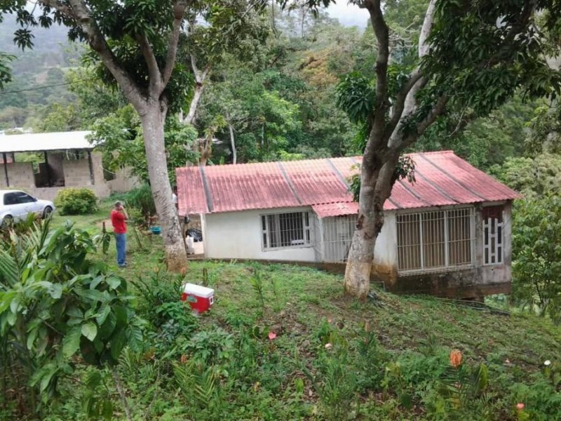 Foto Hotel en Venta en Caripe, Caripe, Monagas - U$D 80.000 - HOV117323 - BienesOnLine