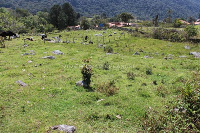 Terreno en Venta en el Valle Mérida, Mérida