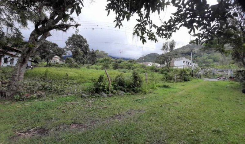 Foto Terreno en Venta en La Pedregosa, Mérida - U$D 12.000 - TEV196111 - BienesOnLine