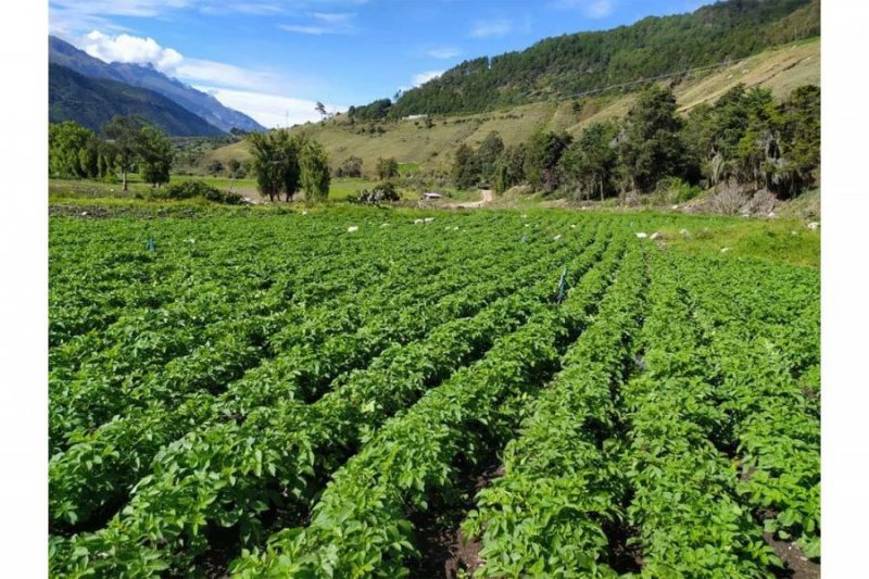 Terreno en Venta en Mucurubá Mérida, Mérida