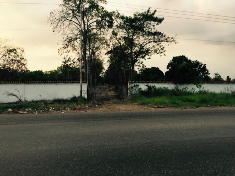 Foto Terreno en Venta en via costo arriba, Maturín, Monagas - 3 hectareas - BsF 150.000.000 - TEV86822 - BienesOnLine