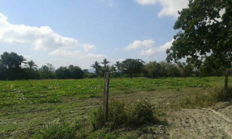 Foto Terreno en Venta en San Felipe, Yaracuy - BsF 1.200.000 - TEV71708 - BienesOnLine