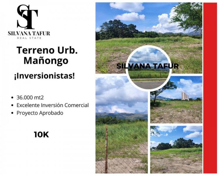 Foto Terreno en Venta en Urb Mañongo, Valencia, Carabobo - U$D 10.000.000 - TEV188543 - BienesOnLine