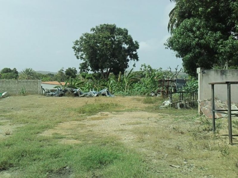 Foto Terreno en Venta en La Asunción, Nueva Esparta - BsF 8.999.999.488 - TEV104154 - BienesOnLine