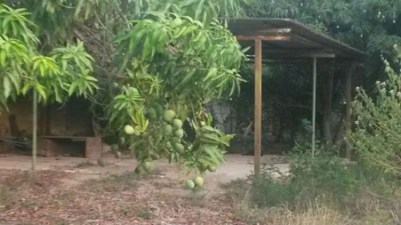 Foto Terreno en Venta en Guacara, Carabobo - BsF 21.120.000 - TEV76855 - BienesOnLine