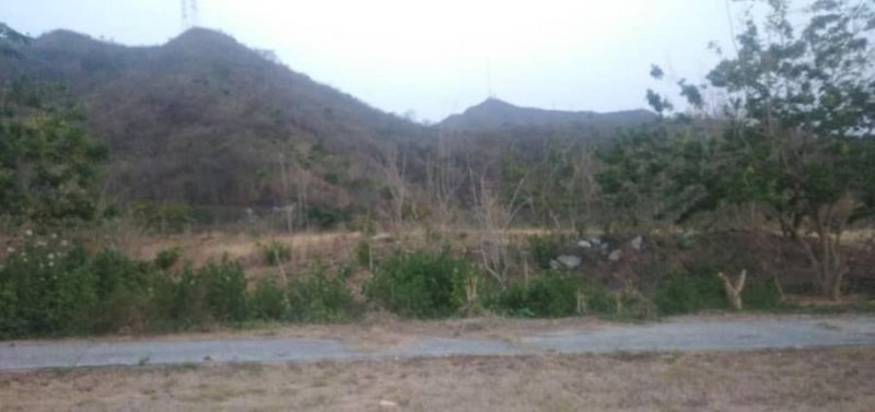 Terreno en Venta en  Naguanagua, Carabobo