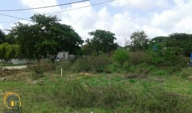 Foto Terreno en Venta en Juan Griego, Nueva Esparta - BsF 3.000 - TEV106435 - BienesOnLine