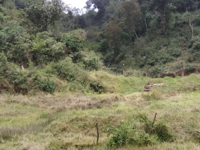 Terreno en Venta en El Junquito El Junquito, Distrito Federal