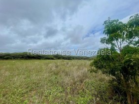 Terreno en Venta en  Pueblo Nuevo, Falcón