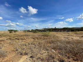 Terreno en Venta en  Coro, Falcón