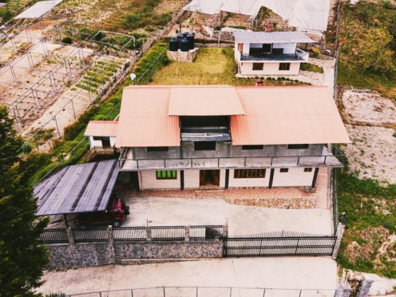 Terreno con dos inmuebles en venta Colonia Tovar, Aragua-Venezuela