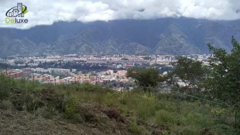 Foto Terreno en Venta en Monte Alto, Mérida, Mérida - U$D 35.000 - TEV147355 - BienesOnLine