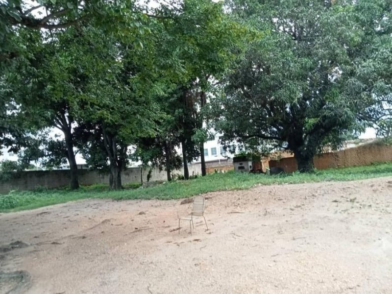 TERRENO DE ESQUINA  EN AVENIDA PRINCIPAL DE TINAQUILLO, COJEDES. LUISA MEZONES VENDE