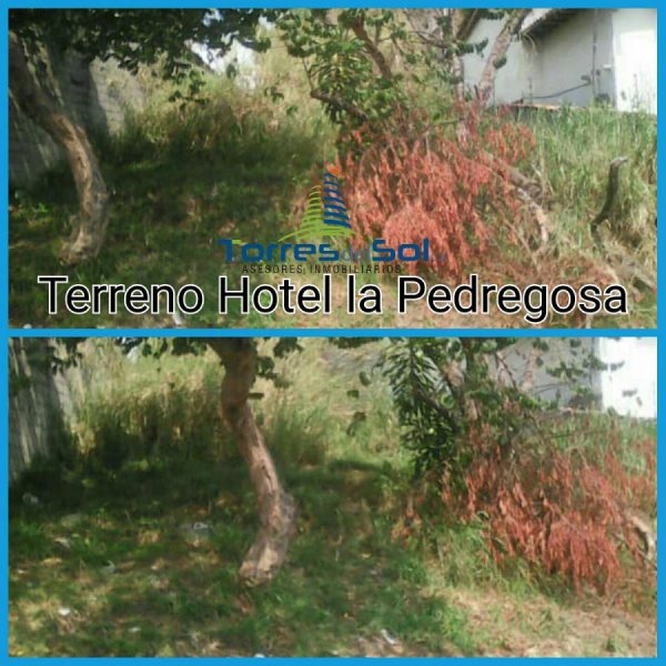 Foto Terreno en Venta en Mérida, Mérida, Mérida - TEV116087 - BienesOnLine