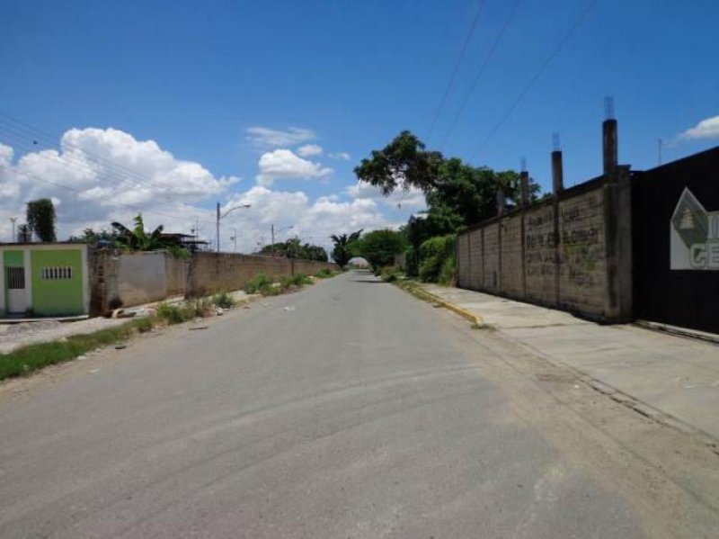 Foto Terreno en Venta en Guacara, Carabobo - BsF 300.000 - TEV67890 - BienesOnLine