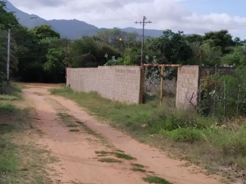 Foto Terreno en Venta en 6301, EL CARDÓN MUNICIPIO ANTOLIN DEL CAMPO, Nueva Esparta - U$D 20.000 - TEV125536 - BienesOnLine