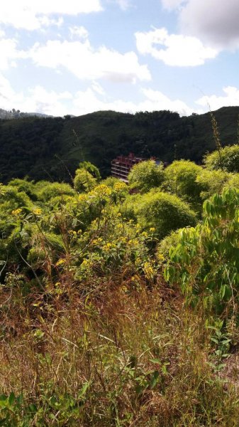 Terreno en Venta en Oripoto El hatillo, Distrito Federal