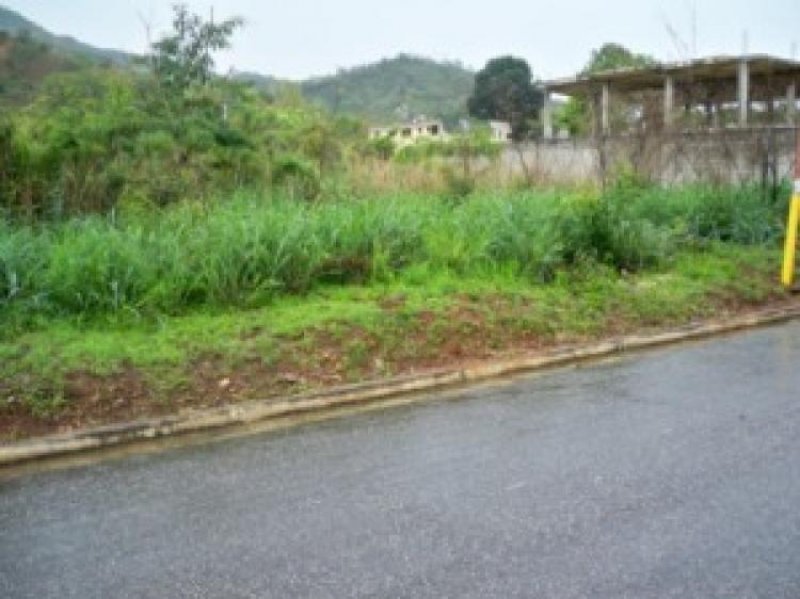 Foto Terreno en Venta en Valencia, Carabobo - BsF 460.000 - TEV23272 - BienesOnLine