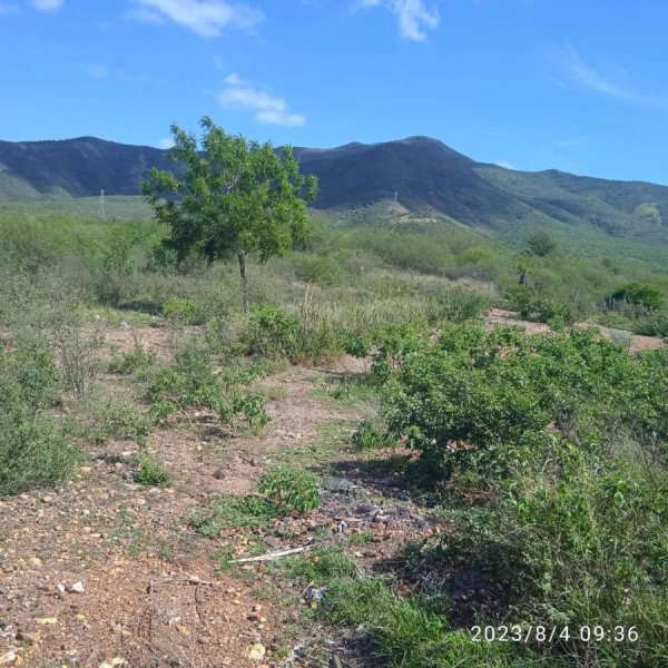 Terreno en Venta en  San Juan Bautista, Nueva Esparta