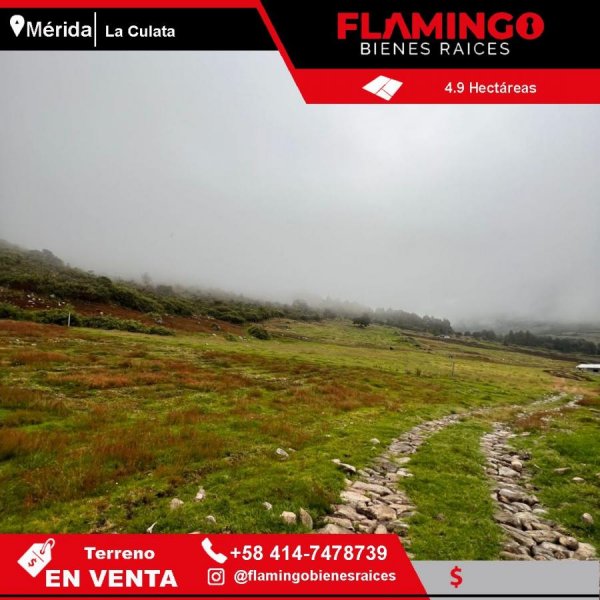 Foto Terreno en Venta en Mérida, Mérida - 4 hectareas - U$D 160.000 - TEV220756 - BienesOnLine