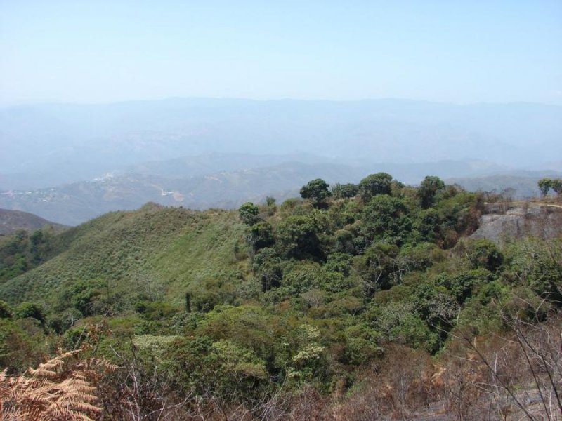 Terreno en Venta en Los Teques Los Teques, Miranda