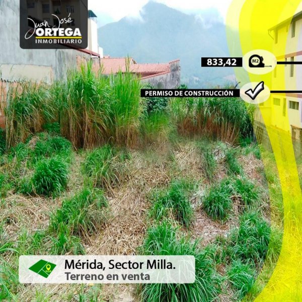 Terreno en Venta en  Mérida, Mérida